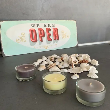 Modern Day * שיבניק