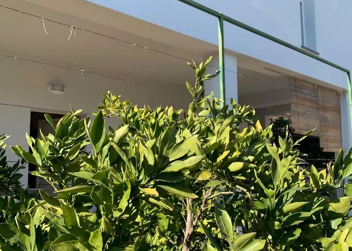 Appartement Modern Day *